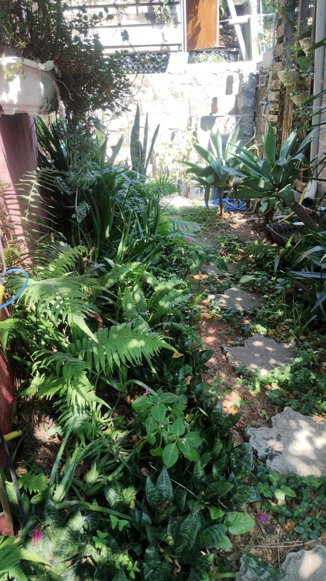 Casa de férias Casa Na Ilha Da Magia Florianopolis